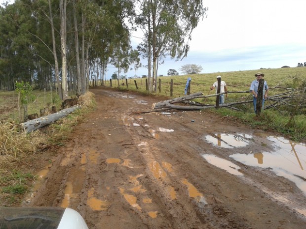 Em Cerqueira CÃ©sar, Ã¡rvore caiu na Ã¡rea rural  (Foto: Arquivo Pessoal / Carlos Alberto do Amaral)