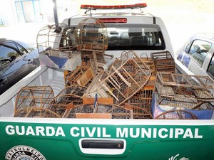 Guarda Municipal de Limeira recolhe 29 pássaros após devolução voluntária de morador do bairro Nova Suíça (Fot Wagner Morente/Prefeitura de Limeira)