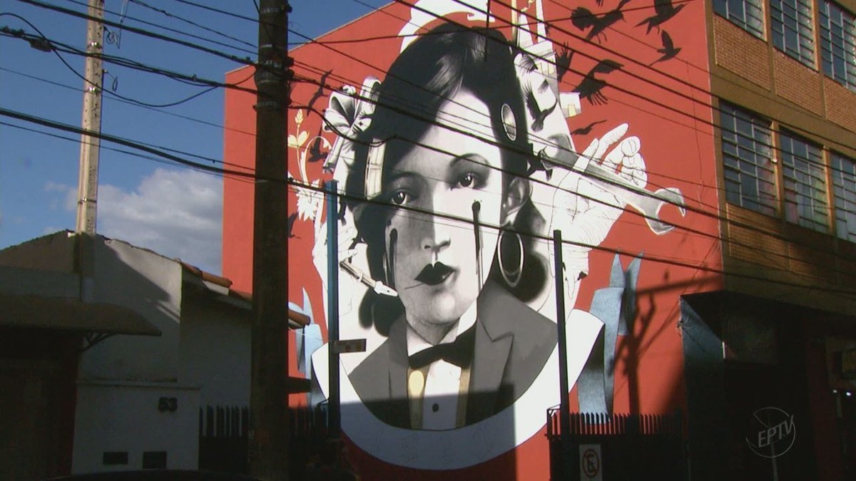 Grafite homenageia Pagu em São João da Boa Vista, SP - Globo.com