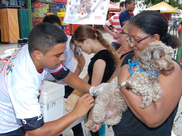 Prefeitura encerra campanha de vacinação animal nesta sexta-feira (13) (Foto: Honório Moreira/Secom)