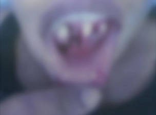 Caixa ficou com a boca ferida após martelada (Foto: Reprodução / TV tapajós)