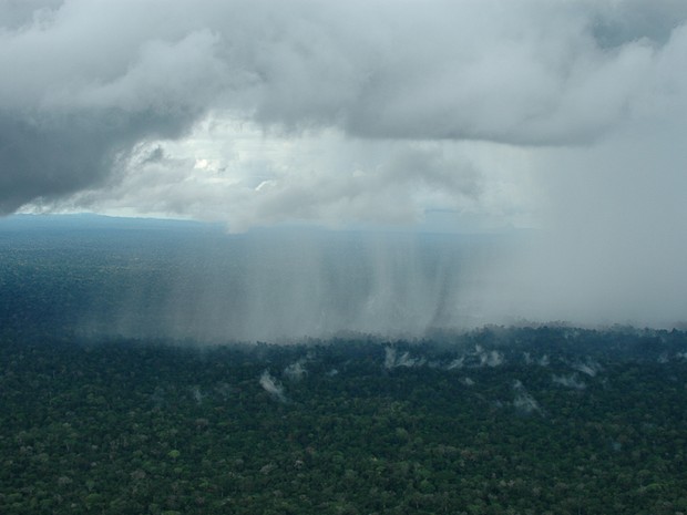 Desmatamento da Amazônia pode afetar volume de chuvas no país (Foto: Divulgação Projeto Rios Voadores)