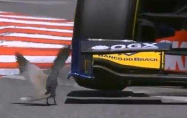 Pássaro Felipe Nasr GP2 Mônaco (Foto: Reprodução de TV)