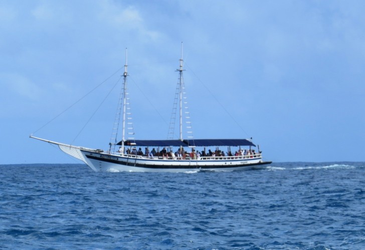 Passeio de barco 