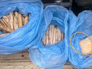 119 bananas de dinamite e cordões detonantes foram apreendidos na quarta-feira (23), em Guarulhos (Foto: Polícia Militar/Divulgação)