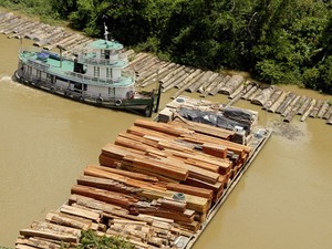 Imagem de 2010 mostra lote de madeira ilegal confiscado em Belém, no Pará (Foto: Divulgação/Paulo Santos)