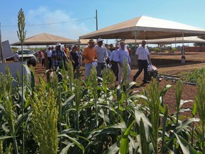 Governo vai manter campus do agronegócio no Parque de Exposições Marechal Castelo Branco (Foto: Gleilson Miranda/ Secom Acre)