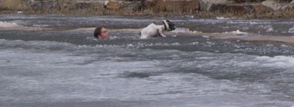 Equipe de TV flagra dono salvando cão que caiu em lago no Canadá (Foto: CTV Edmonton/Facebook)