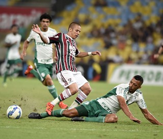 Fluminense x Palmeiras, Maracanã. (Foto: andré durão)