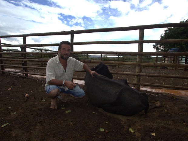 Produtor rural ao lado de uma vaca que está fraca devido a falta de alimentos.  (Foto: Geraldo Humberto/ Inter TV)