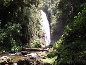 Cachoeira de Meu Deus, em Eldorado, SP (Foto: Divulgação/Governo do Estado de São Paulo)