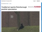 Bicho de pelúcia é confundido com pantera no Reino Unido