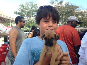 feira de adoção de cães em cabo frio (Foto: Heitor Moreira/G1)