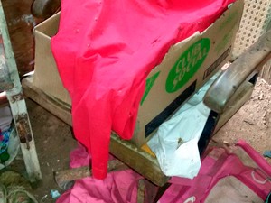 Corpo do bebê estava dentro de um caixa de papelão, jogada no lixão (Foto: Divulgação/Polícia Militar)