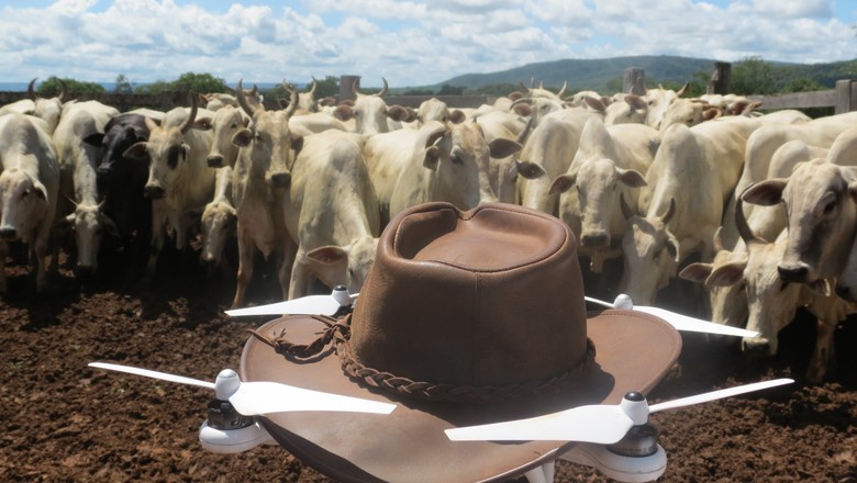 Peão boiadeiro tocando gado em fazenda do Pantanal Sul, Pulsar Imagens