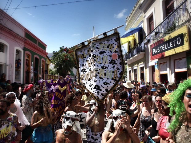 Bloco feminista Vaca Profana propôs reflexão sobre assédio e machismo (Foto: Beto Figueiroa)