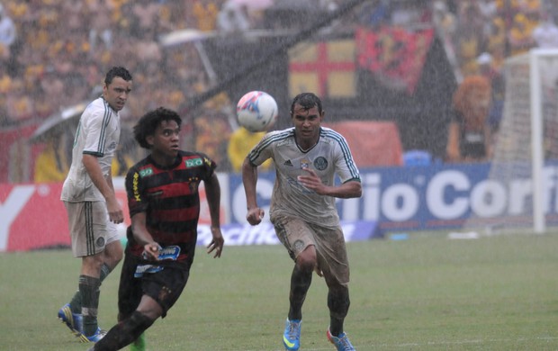 sport x palmeiras (Foto: Aldo Carneiro/ Pernambuco Press)