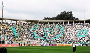 torcida Palmeiras e São Paulo Brasileirão (Foto: Marcos Ribolli)