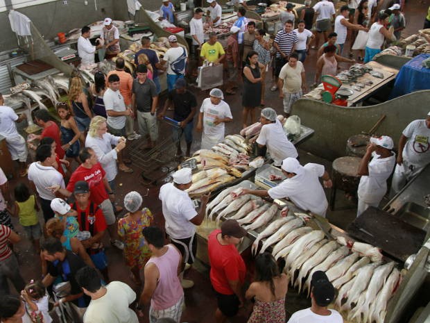 G1 Belém recebe mais duas feiras do peixe popular neste fim de semana