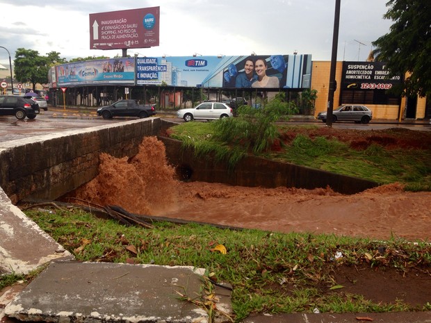 Rio Bauru está a ponto de ransbordar em diversos pontos da avenida (Foto: Ana Carolina Levorato/G1)
