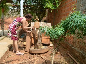 Edy cuida do quintal para evitar o surgimento dos caramujos africanos (Foto: Paula Casagrande/G1)