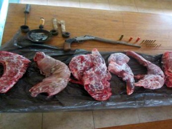 Carnes apreendidas passarão por perícia do ICMBio (Foto: Polícia Ambiental / Divulgação)