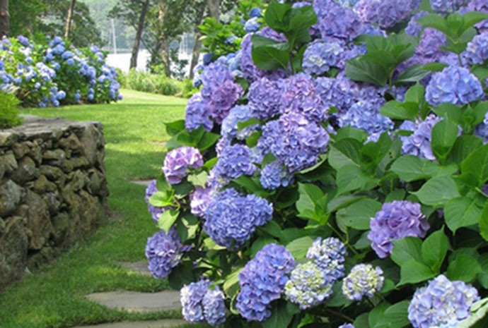 Crie um lindo jardim com mais facilidade (Foto: Divulgação)
