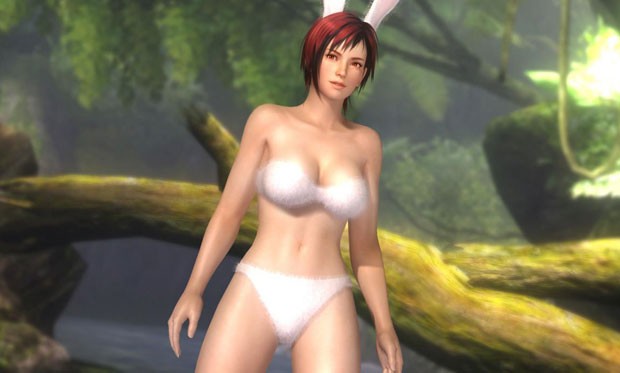 Muitos dos jogadores preferem as roupas e os atributos físicos das lutadoras do que do game em si (Foto: Divulgação)