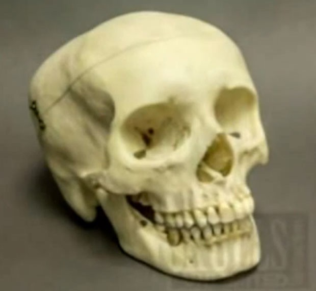 Crânio humano foi doado para loja da rede de usados Goodwill (Foto: Reprodução/YouTube/Reena Francis)