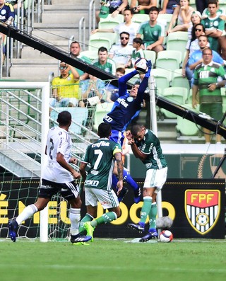 Fernando Prass Palmeiras x Ponte Preta (Foto: Marcos Ribolli)