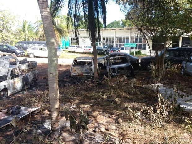 A Degepol confirmou que pelo menos dez carros foram incendiados (Foto: Fred Carvalho/G1)