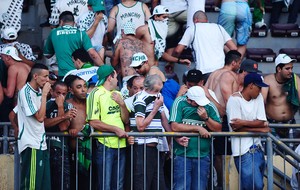 torcida Palmeiras 2012 jogo Botafogo (Foto: Marcos Ribolli / Globoesporte.com)