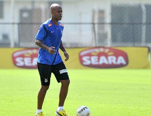 Marcos Assunção no treino do Santos (Foto: Ivan Storti / Site Oficial do Santos)