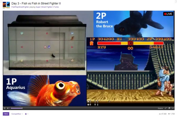 Sensor transforma movimentos de peixes em comandos no game 'Street Fighter II'; partidas são transmitidas ao vivo pelo site Twitch (Foto: Reprodução/Twitch/FishPlayStreetFighter)