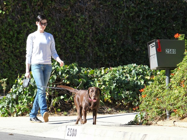 Anne Hathaway passeia com sua cadela de estimação em Los Angeles, nos Estados Unidos (Foto: AKM-GSI Brasil/ Splash News)