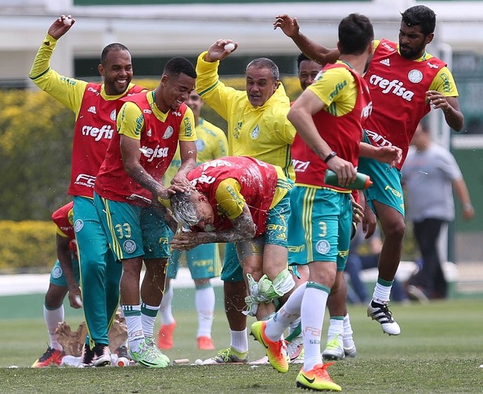 Palmeiras busca abrir vantagem contra o Santa Cruz