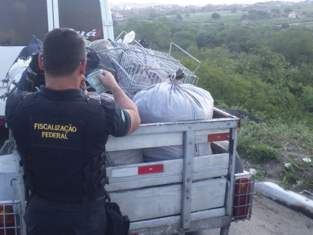 Apreensão de carga na BR-232 em São Caetano, Pernambuco (Foto: Divulgação/ Polícia Rodoviária Federal)