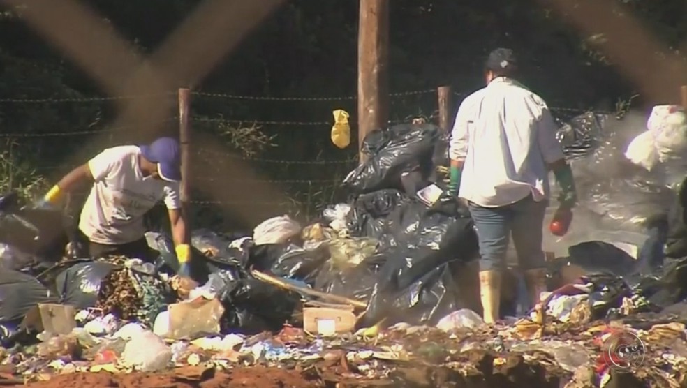 Área foi interditada em Assis (Foto: Reprodução/TV TEM)