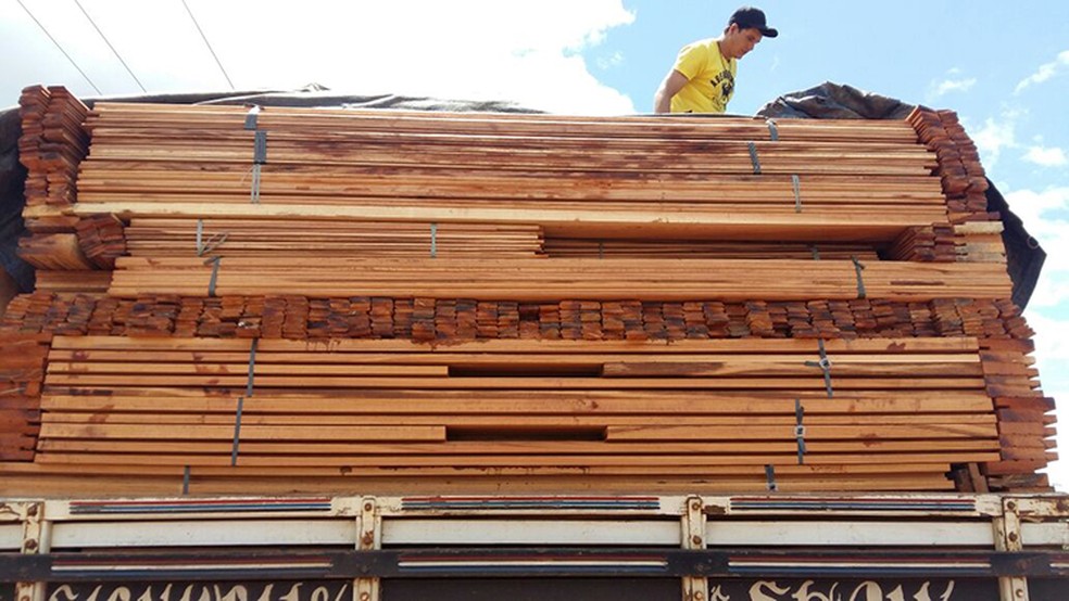 PRF apreende madeira ilegal em rodovia no Piauí (Foto: Divulgação/PRF)