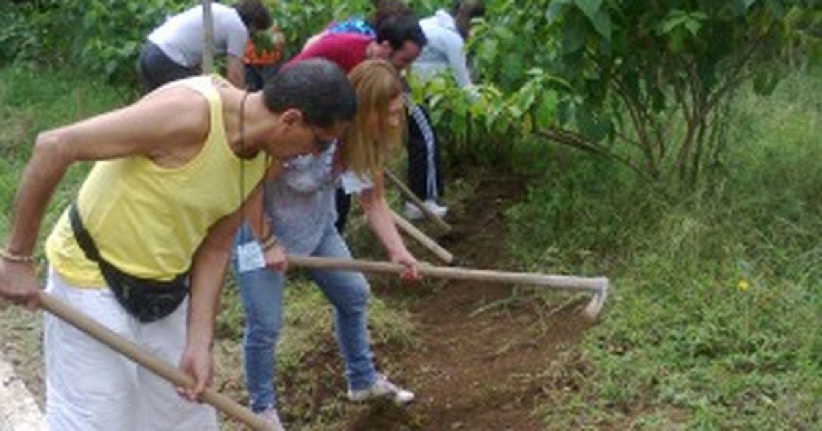 G1 - No carnaval, retirantes preferem o campo e silêncio da região de