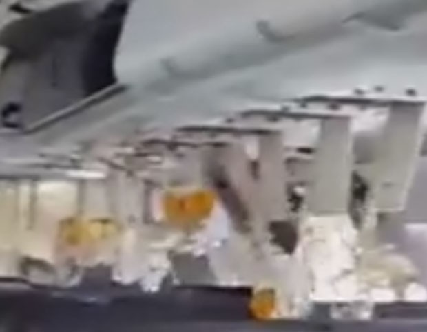 Vídeo mostra interior do avião após explosão (Foto: Reprodução/YouTube/Sven Mandel)