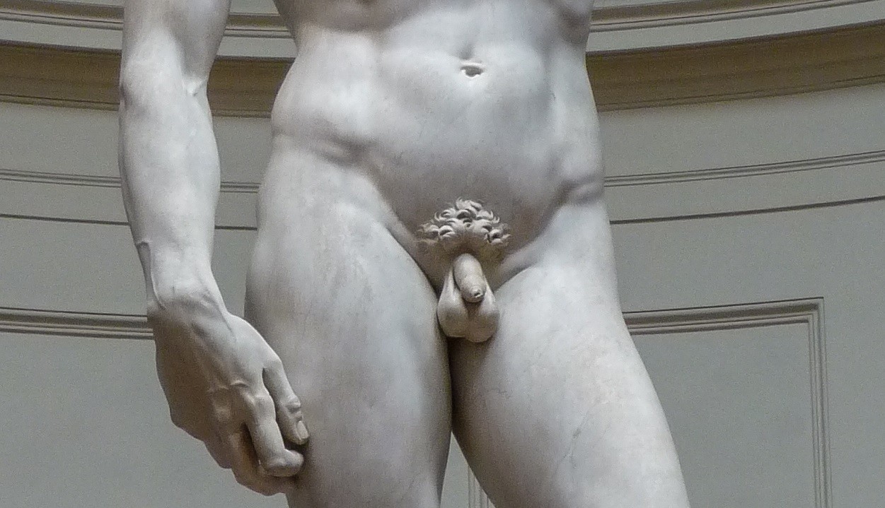 EstÃ¡tua David, de Michelangelo (Foto: Wikimedia Commons)