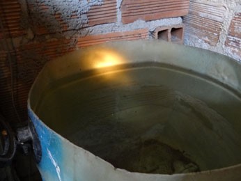 Apesar de não ter larvas, há ovos em recepiente. (Foto: Katherine Coutinho / G1)