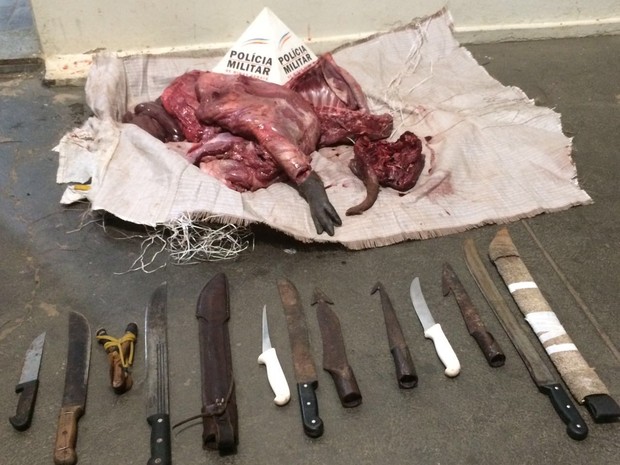 Carne de capivara e de pato, além de fisga, facões e facas foram apreendidos. (Foto: Polícia Militar/Divulgação)