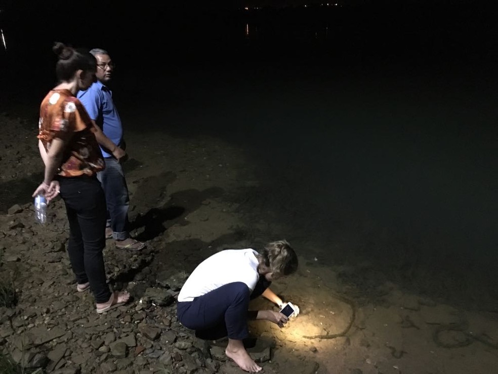 Equipes de vários orgãos estiveram às margens do São Francisco na noite de sexta-feira (5) (Foto: Divulgação/SAAE)