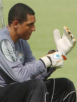 Fábio Costa, goleiro do Santos (Foto: divulgação/Santos FC) Fábio Costa, goleiro do Santos (Foto: divulgação/Santos FC)