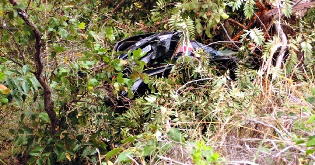 G1 Motorista morre em MT após atropelar capivara e despencar em