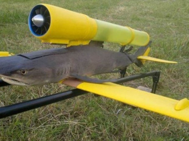 Um tubaraão com uma turbina pode concorrer com os peixes voadores.  (Foto: BBC)