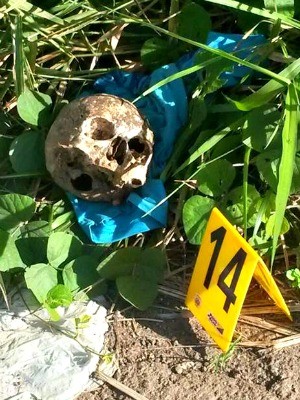 Crânio foi encontrado na manhã desta terça (26) (Foto: Divulgação PRF)