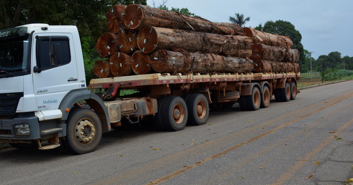 G1 - Caminhão com 18 toras de madeira irregular é apreendido em ... - Globo.com